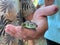 The guy is holding a lizard in his hand. Lizard in the hands of a man, close-up. A beautiful reptile held captive by humans