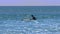 Guy holds yellow surfboard on shallow foamy waves