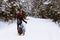 The guy rolls a girl on a sled along a snow-covered road through the dark forest. A group of people enjoying snowshoeing on a