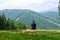 Guy sitting on log and enjoy peaceful green mountains landscape. Peace of mind and relax