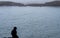 Guy sitting on a rock looking at seals. seals laying on rocks