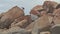 Guy Stands on Large High Rock on Beach at Hill Foot