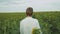 guy walks in a field of sunflowers, summer cloudy weather. Portrait of a guy posing for the camera