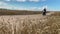 A guy wearing a black helmet on a gray motorcycle is driving along a country road along a field of golden wheat. Side