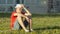 Guy in a white hat sits on the grass in a city park, camera movement