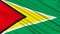 Guyana Flag.