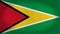 Guyana flag