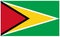 Guyana flag - banner, South America, country