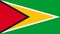 Guyana flag icon in flat style. National sign vector illustration. Politic business concept