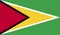 Guyana flag image