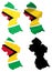 Guyana flag over map collage