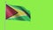 Guyana Flag Slow Motion