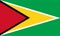 Guyana flag vector.Illustration of Guyana flag