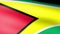 Guyana Flag Waving