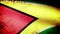 Guyana Flag Waving, grunge