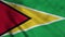 Guyana flag waving in the wind. National flag of Guyana. 4K