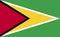 Guyana national flag in exact proportions - Vector