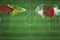 Guyana vs Japan Soccer Match, national colors, national flags, soccer field, football game, Copy space