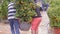 Guys Lift up and Carry Tangerine Tree Pot at Market