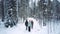 Guys walk through snowdrifts along winter forest