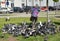 GVARDEYSK, RUSSIA. The elderly woman makes the way through pack of blue rock pigeons