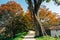 Gwanbangjerim autumn forest road in Damyang, Korea