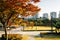 Gwanggyo History Park at autumn and city view in Suwon, Korea