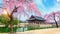 Gyeongbokgung Palace with cherry blossom in spring, Seoul in Korea.