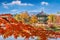 Gyeongbokgung Palace and Soft focus of Maple tree in autumn,Kore