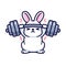 Gym bunny, rabbit lifting barbell