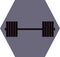 Gym Icon Barbell lots of wights