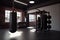 gym, with punching bag and speed bag in the foreground