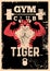Gym sport club or fitness center typographic vintage grunge poster or emblem design with athletic muscular animal mascot. Tiger bo