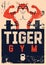 Gym sport club or fitness center typographic vintage grunge poster or emblem design with athletic muscular animal mascot. Tiger bo