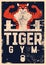 Gym sport club or fitness center typographic vintage grunge poster or emblem design with athletic muscular animal mascot. Tiger bo