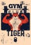 Gym sport club or fitness center typographic vintage grunge poster or emblem design with athletic muscular animal mascot. Tiger bo