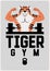 Gym sport club or fitness center typographic vintage poster, emblem, logo design with athletic muscular animal mascot. Tiger bodyb
