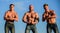 Gym trainer. More strength more muscle. Strong men blue sky background. Showing abs biceps. Group muscular men outdoors