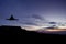 Gymnast doing the splits jump after sunset