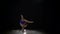 Gymnast stands on the hands performs acrobatic movements. Black background. Slow motion