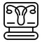 Gynecology computer monitor icon, outline style