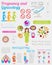 Gynecology and pregnancy infographic template. Motherhood elemen