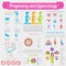 Gynecology and pregnancy infographic template. Motherhood elemen