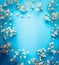 Gypsophila, Baby`s-breath flowers on blue background. White flowers frame, top view