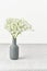 Gypsophila flowers in vase. Soft light, Scandinavian minimalism, white walls