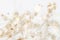 Gypsophila romantic wedding dry flowers with warm lights on white background macro