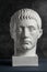 Gypsum copy of ancient statue Germanicus head on dark textured background. Plaster sculpture man face.