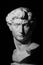 Gypsum head of Michelangelo\'s David