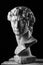 Gypsum head of Michelangelo\'s David