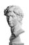 Gypsum head of Michelangelo\'s David